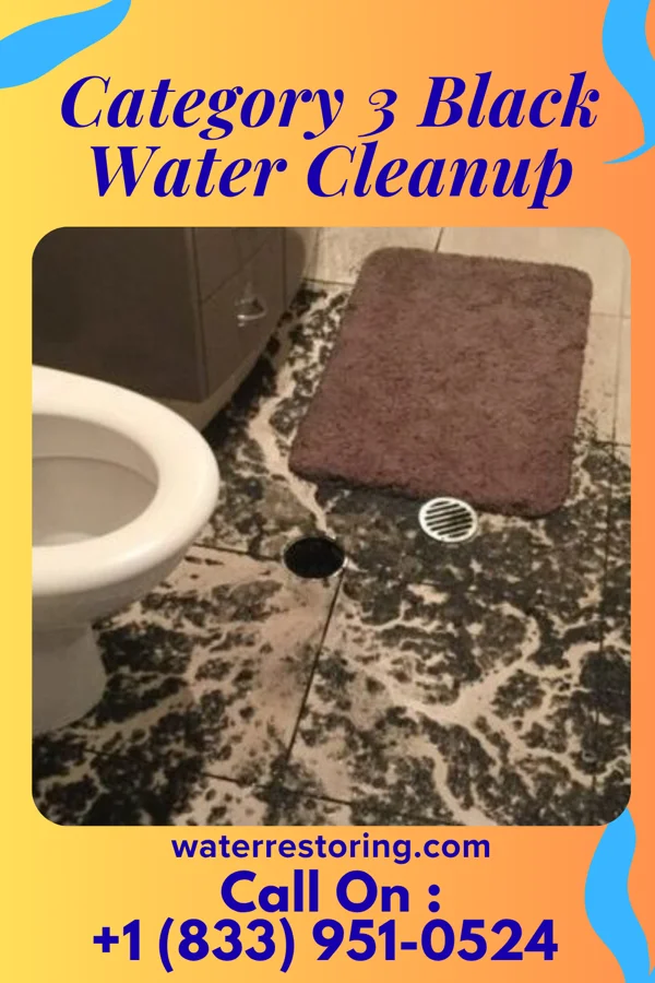 Category 3 Black Water Cleanup in Fox Chapel, PA