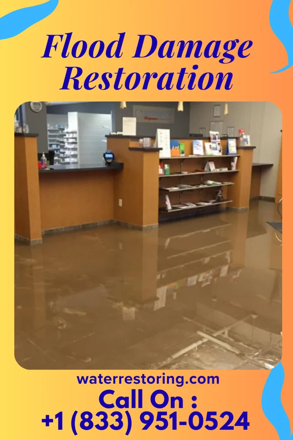Flood Damage Restoration in Fox Chapel, PA