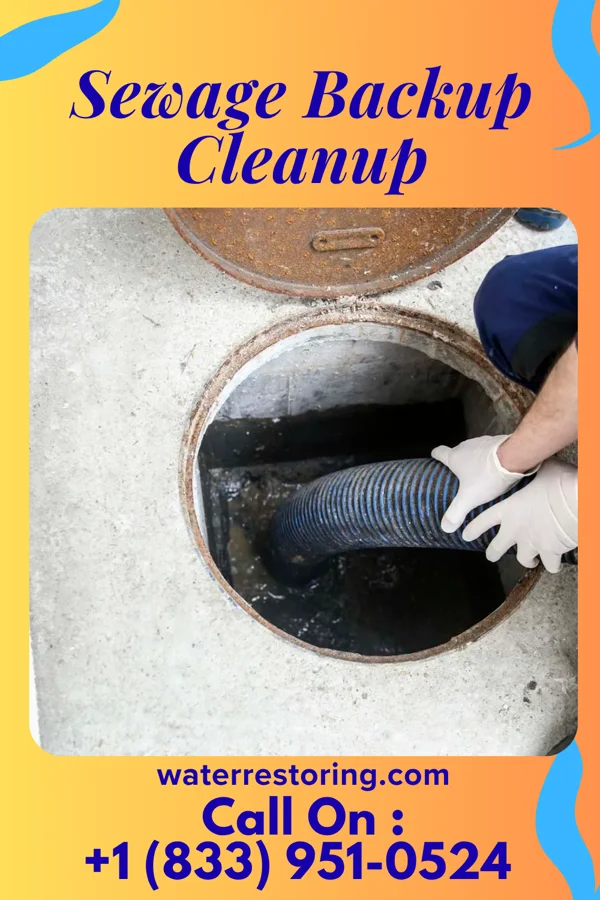 Sewage Backup Cleanup in Fox Chapel, PA