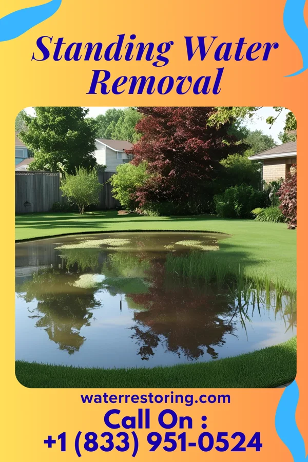 Standing Water Removal in Fox Chapel, PA
